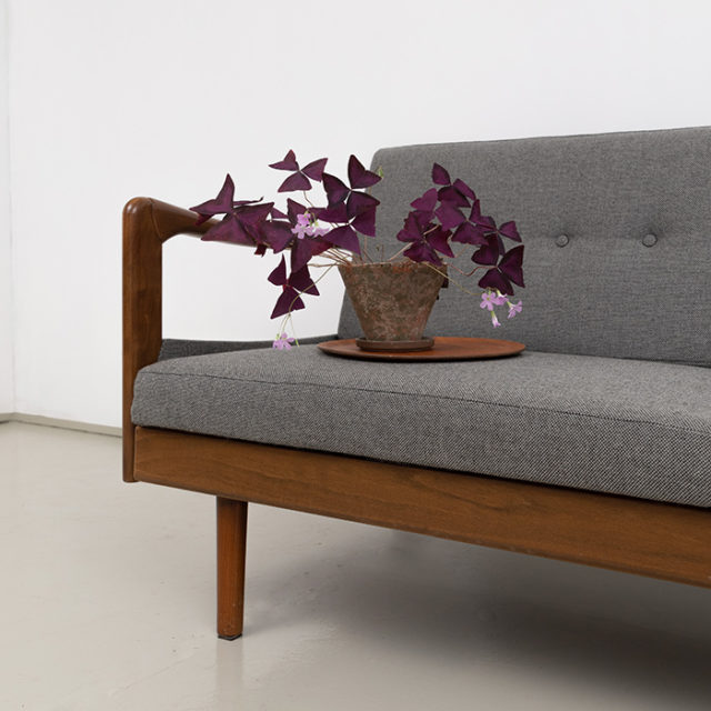 Antimott Daybed Walter Knoll 60er Jahre