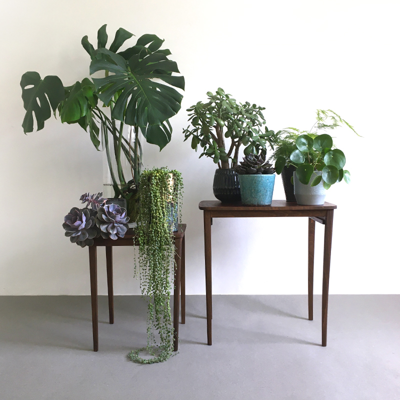 pflanzentisch_midcentury_palisander_satztische